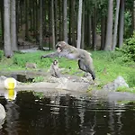 Hofer Ossiacher Farm stay *