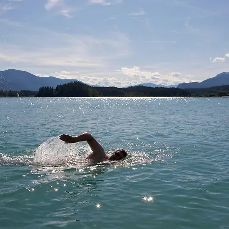 Hofer Ossiacher * أنينهايم