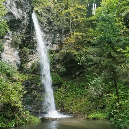 Hofer Ossiacher * أنينهايم