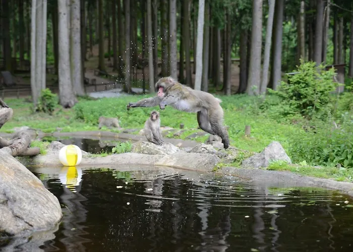 Hofer Ossiacher Gospodarstwo agroturystyczne *