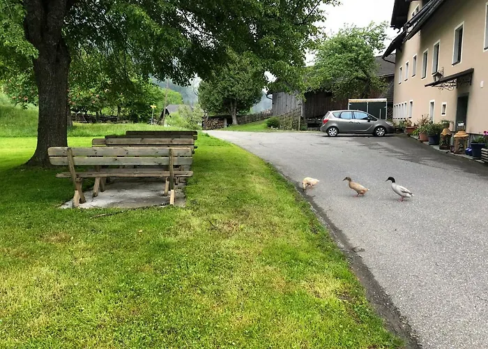 Hofer Ossiacher * Annenheim