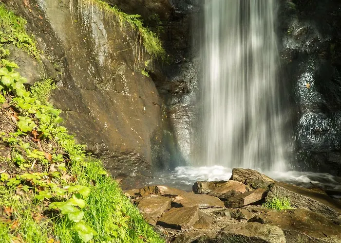 Hofer Ossiacher * אננהיים