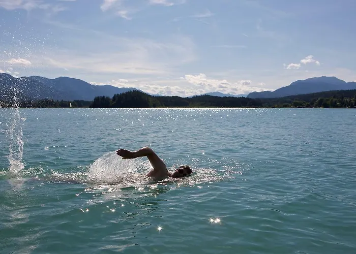 Hofer Ossiacher * אננהיים